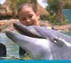 discovery cove